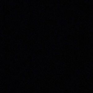 Meet your Posher, Isabella